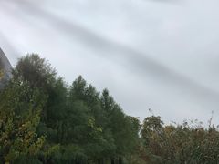 -合肥滨湖国家森林公园