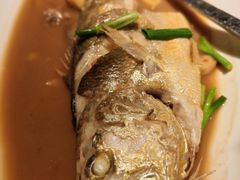 家烧深海大黄鱼-荣小馆(临海世纪花城店)