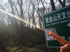 -紫金山山顶公园