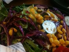 牛油果蔬菜沙拉-麦落精酿啤酒餐吧(先农大院店)