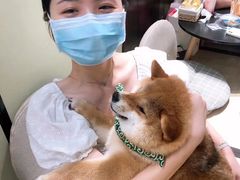 -逗柴咖啡屋·狗咖猫咖宠物桌游