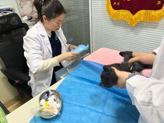 -瑞派·关忠动物医院(国瑞店)