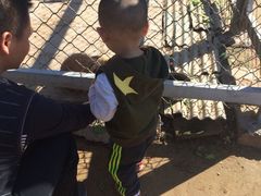 iphone_upload_pic-意大利农场度假村