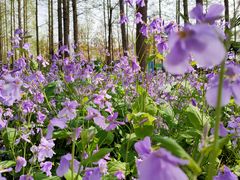 -河南省黄河迎宾馆