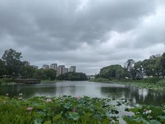 -新江湾城公园