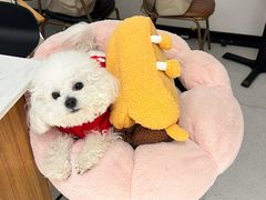 -MOI COFFEE(江山汇悦山府店)