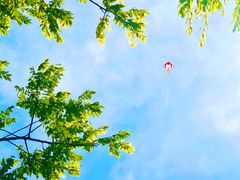 -永定河休闲森林公园