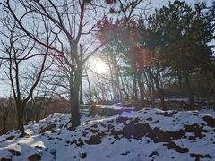 -阳台山自然风景区