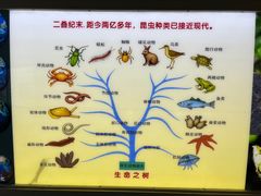 -上海昆虫博物馆