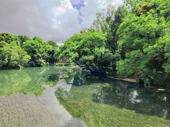 -花溪公园