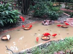 -上海昆虫博物馆