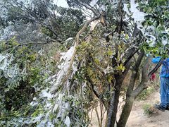 -梧桐山风景名胜区