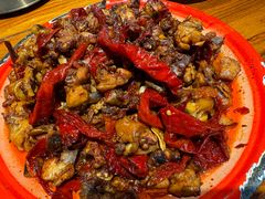 -柴窝堡22号辣子鸡·传承新疆菜