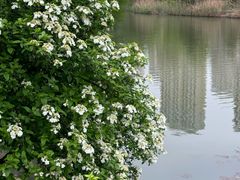 -白塘生态植物园