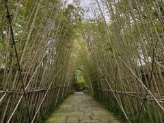 -新荣记(西溪湿地店)