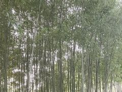 -汇龙潭