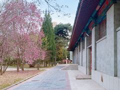 -中央民族大学