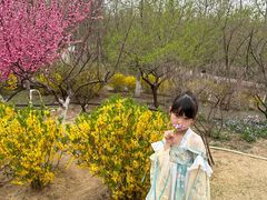 -燕郊植物园