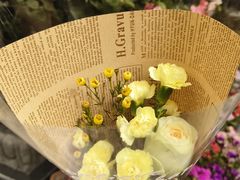 -溪岸路花鸟市场