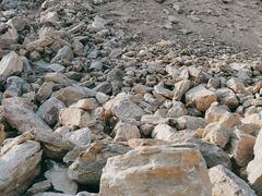 -素山寺森林公园