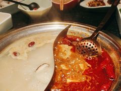 -熊喵来了火锅·牧场好肉(邯郸邯山万达店)