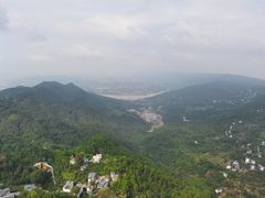 -大金鹰园