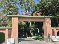 -火炉山森林公园