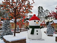 -佛冈森波拉度假区