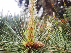 -汉景帝阳陵博物院