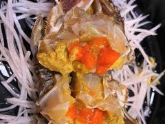 -渔娘渔家丹东海鲜(东直门店)