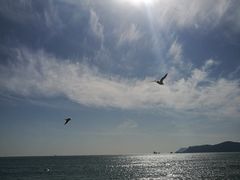 -海云台海滩