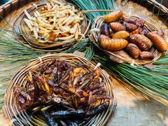 -昆虫窝子·特色云南菜(拓东路总店)