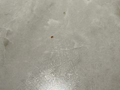 -必胜客(宁海西子国际店)