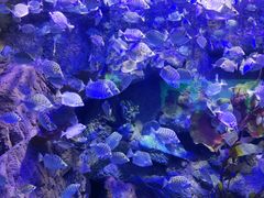 -太平洋海底世界