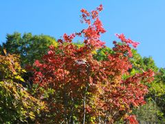 -丹东天桥沟景区