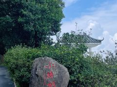 -梧桐山风景名胜区