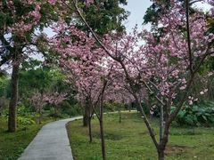 -福建鲤鱼洲酒店