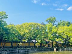-阿育王寺