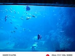 -左海海底世界