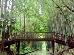 -同里国家湿地公园