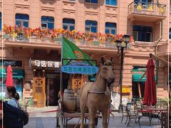 -马迭尔德式西餐精酿啤酒屋(中央大街店)