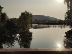 -羊亭河湿地公园