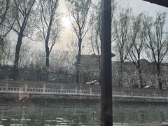 -皇家御河游(紫御湾码头)