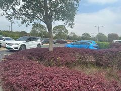 -上海欢乐谷-停车场