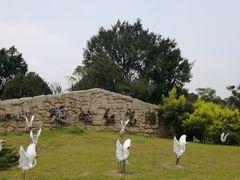 -琅岐红光湖公园