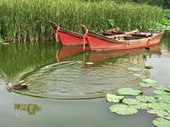 -前关湿地公园