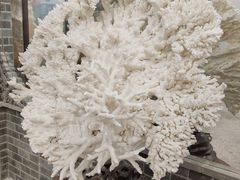 -游龙石文化科普馆