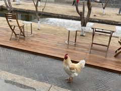 -春风习习