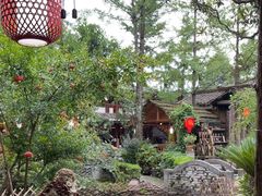 -青城甲(青城山店)