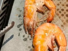 -痴毛肚·火锅烤肉自助(亦庄龙湖天街店)